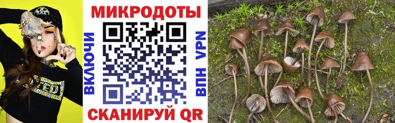 Галлюциногенные грибы Psilocybine cubensis  Купить где  Нижний Ломов 